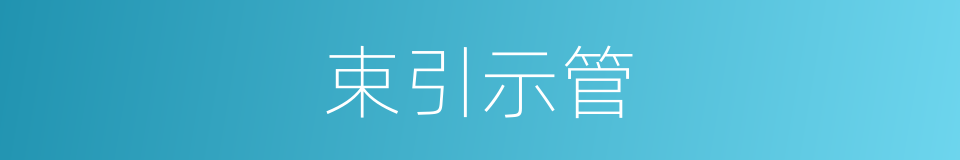 束引示管的同义词