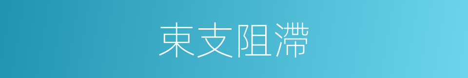 束支阻滯的同義詞