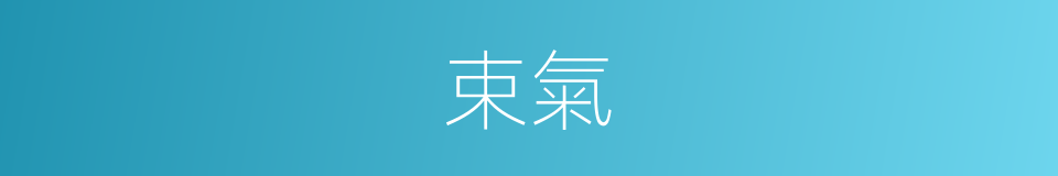 束氣的同義詞