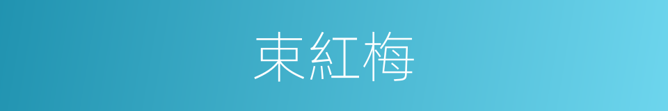 束紅梅的同義詞