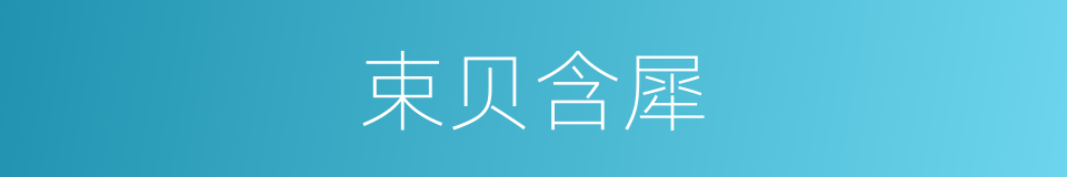 束贝含犀的同义词