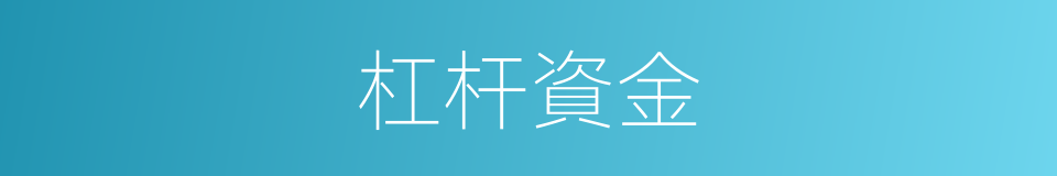 杠杆資金的同義詞