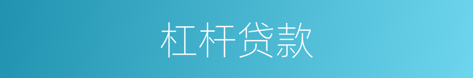 杠杆贷款的同义词