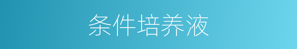 条件培养液的同义词