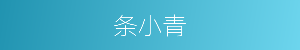 条小青的同义词