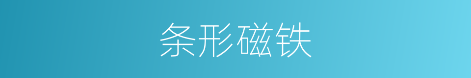 条形磁铁的意思