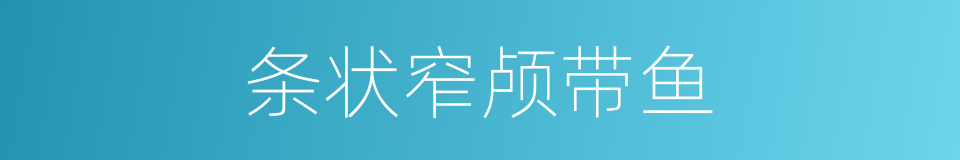 条状窄颅带鱼的同义词