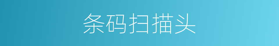 条码扫描头的同义词