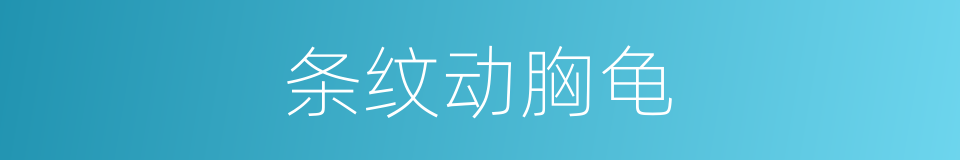 条纹动胸龟的同义词