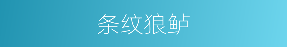 条纹狼鲈的同义词