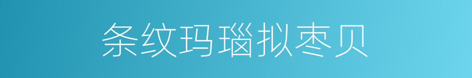 条纹玛瑙拟枣贝的同义词