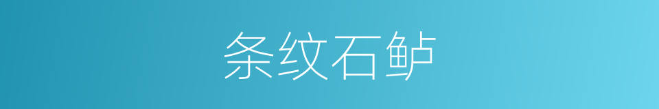 条纹石鲈的同义词