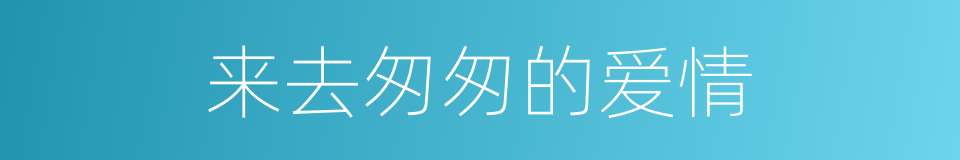 来去匆匆的爱情的同义词