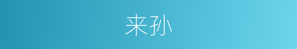 来孙的意思