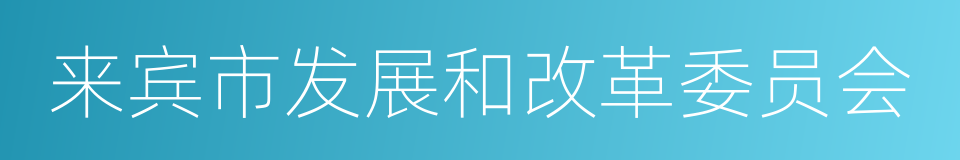 来宾市发展和改革委员会的同义词