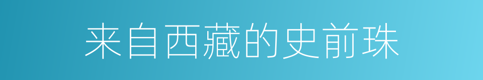 来自西藏的史前珠的同义词