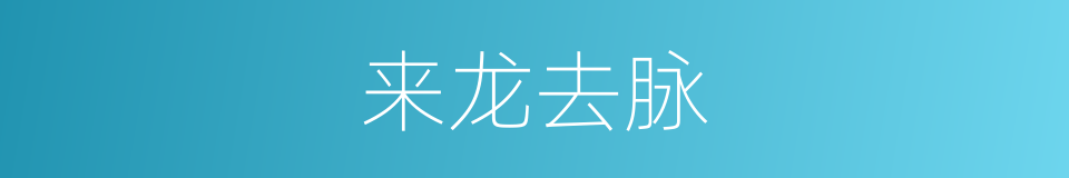 来龙去脉的意思