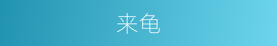 来龟的同义词