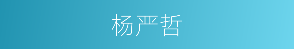 杨严哲的同义词