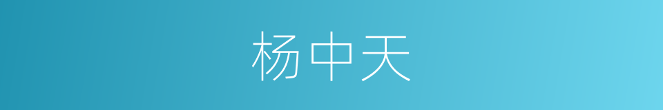 杨中天的同义词