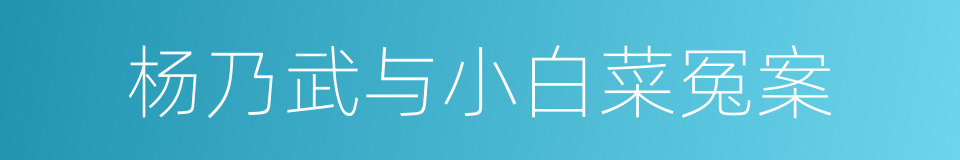 杨乃武与小白菜冤案的同义词