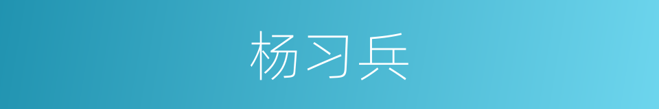 杨习兵的同义词