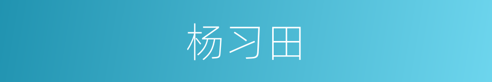 杨习田的同义词