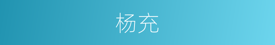 杨充的同义词