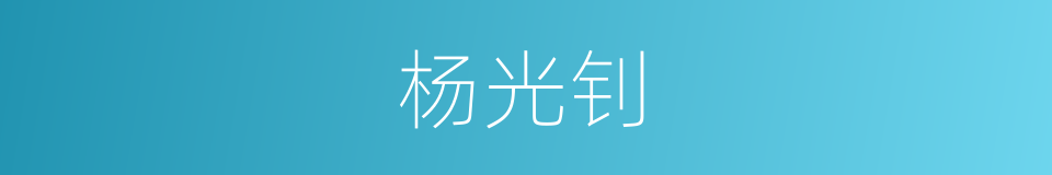 杨光钊的同义词