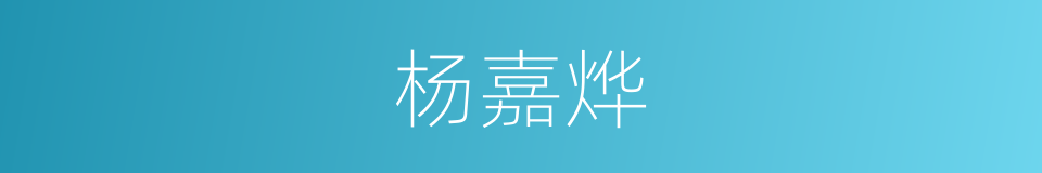 杨嘉烨的同义词