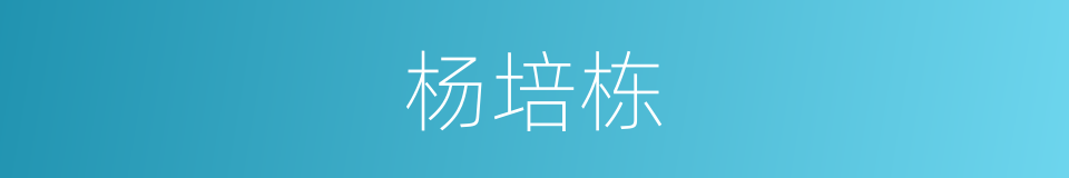 杨培栋的同义词