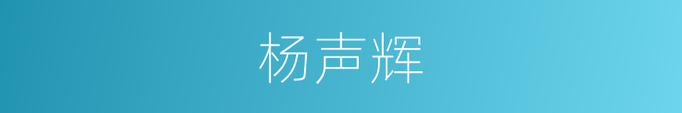 杨声辉的同义词