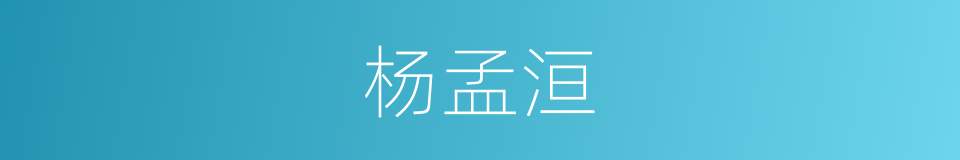 杨孟洹的同义词