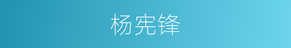 杨宪锋的同义词