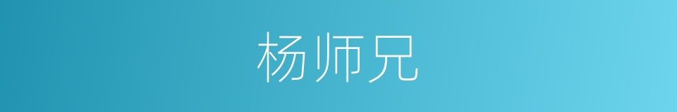 杨师兄的同义词