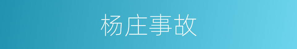 杨庄事故的同义词