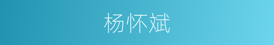 杨怀斌的同义词