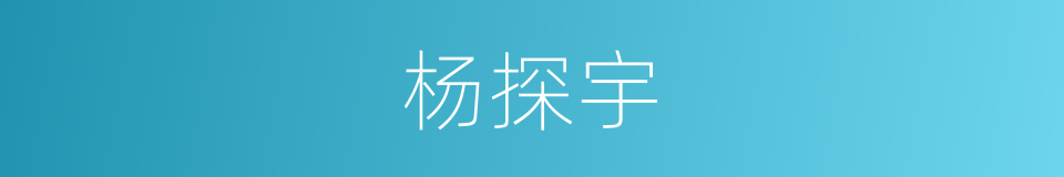 杨探宇的同义词