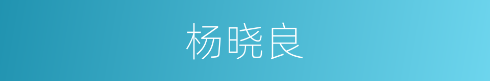 杨晓良的同义词