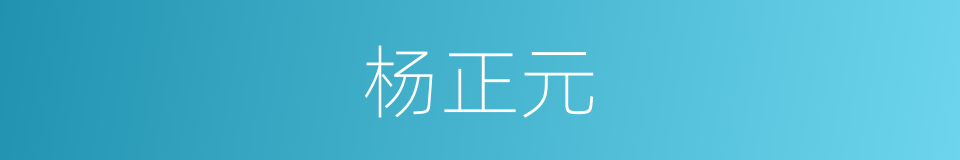 杨正元的同义词