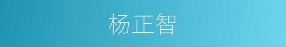 杨正智的同义词