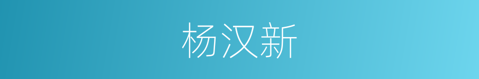 杨汉新的同义词