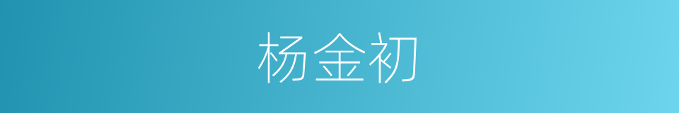 杨金初的同义词