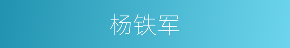 杨铁军的同义词