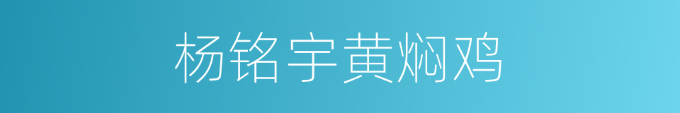 杨铭宇黄焖鸡的同义词