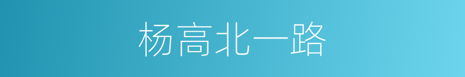杨高北一路的同义词