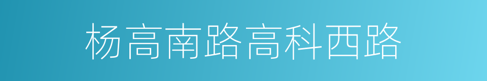杨高南路高科西路的同义词