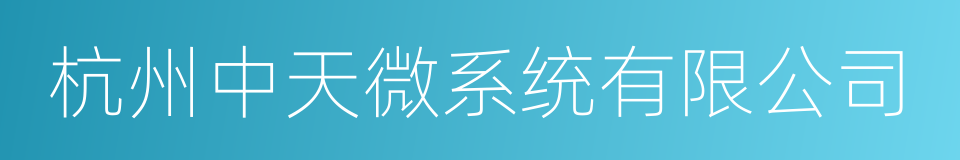 杭州中天微系统有限公司的同义词