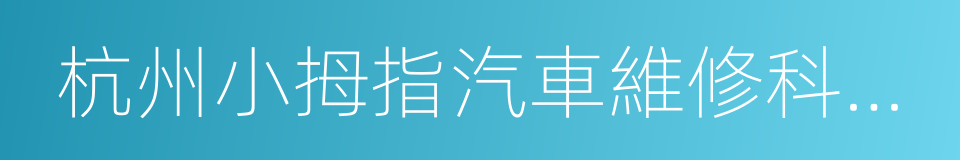 杭州小拇指汽車維修科技股份有限公司的同義詞