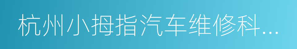 杭州小拇指汽车维修科技股份有限公司的同义词